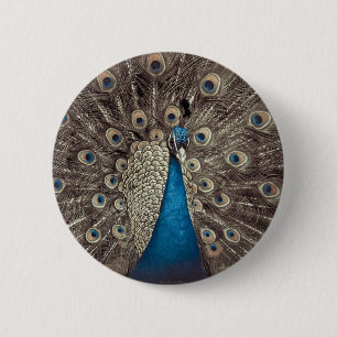 Blauer Pfau Button