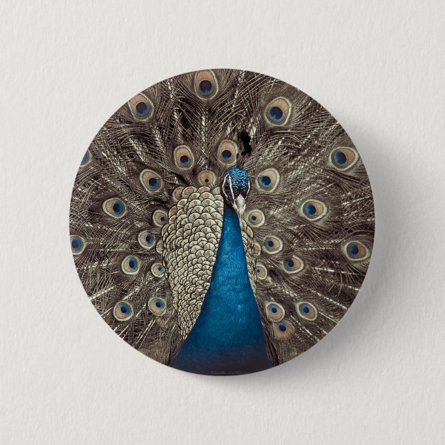 Blauer Pfau Button (Vorderseite)