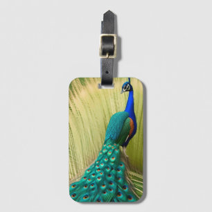 Blauer Pfau im Gras Gepäckanhänger