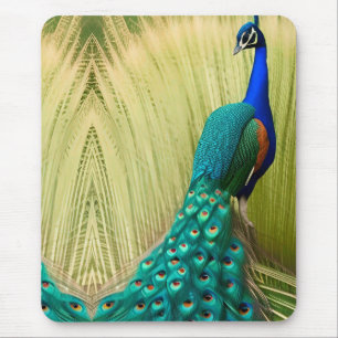 Blauer Pfau im Gras Mousepad