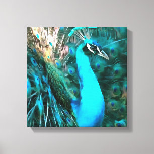 Blauer Pfau in lebendigem Blau mit gefangenen Schw Leinwanddruck