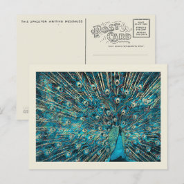 Blauer Pfau mit entfaltetem Schwanz Postkarte