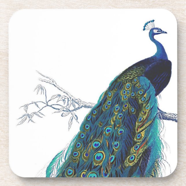 Blauer Pfau mit schönen Schwanzfedern Getränkeuntersetzer (Vorderseite)