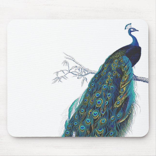 Blauer Pfau mit schönen Schwanzfedern Mousepad (Vorne)
