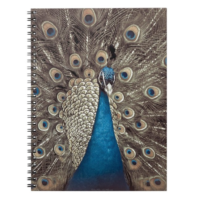 Blauer Pfau Notizblock (Vorderseite)