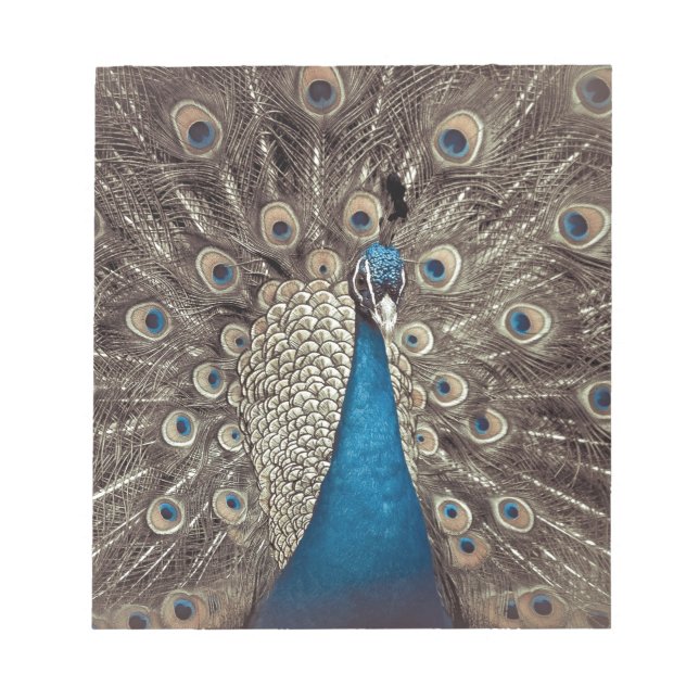 Blauer Pfau Notizblock (Vorderseite)