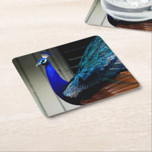 Blauer Pfau Rechteckiger Pappuntersetzer