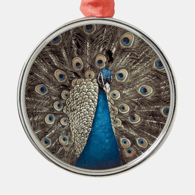 Blauer Pfau Silbernes Ornament (Vorne)