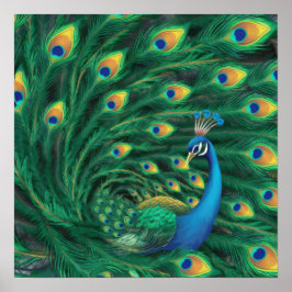 Blauer Pfau Vogel Poster