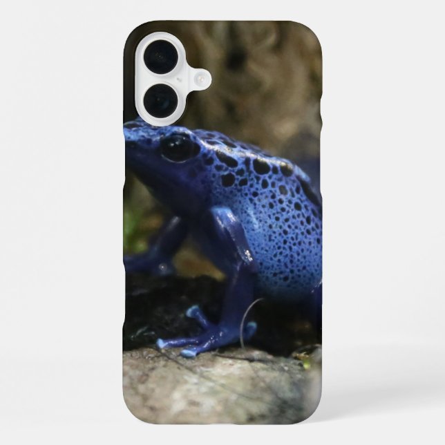 Blauer Pfeilgiftfrosch iPhone 16 Plus Hülle (Rückseite)