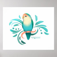 Blauer Pfirsich gegenüber Lovebird