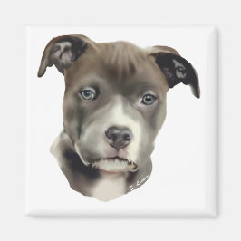 Blauer Pitbull Magnet