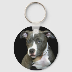 Blauer Pitbull Welpen-Schlüsselanhänger Schlüsselanhänger