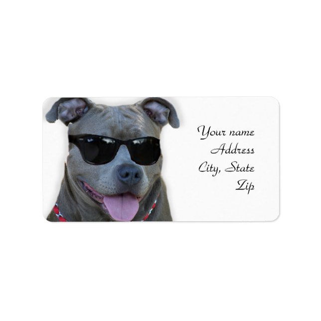 Blauer Pitbulle mit Brille Adressaufkleber (Vorne)