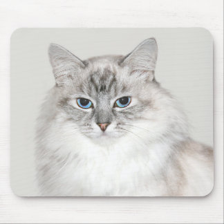 Blauer Punkt Himalaya-Katze Mousepad