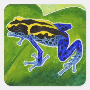 Blauer Regenwaldfrosch Quadratischer Aufkleber