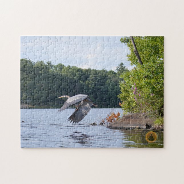 Blauer Reiher (Horizontal)