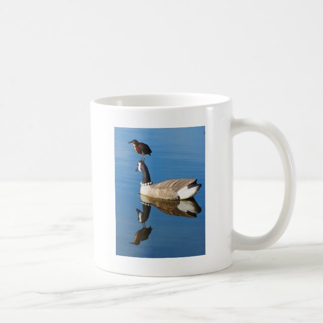 Blauer Reiher auf Enten-Lockvogel durch Kaffeetasse (Rechts)