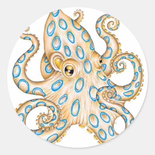 Blauer Ring Oktopus auf Weiß Tinte Runder Aufkleber (Vorderseite)