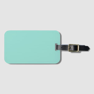 Blauer Robin Egg Blue Solid Color Gepäckanhänger