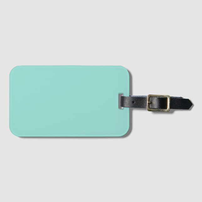 Blauer Robin Egg Blue Solid Color Gepäckanhänger (Vorderseite (Horizontal))