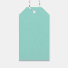 Blauer Robin Egg Blue Solid Color Geschenkanhänger