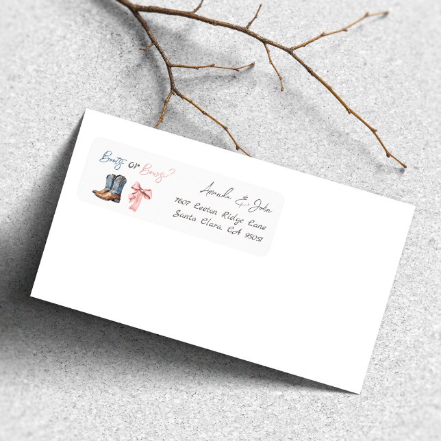 Blauer Rosa-Geschlechtsauftritt für Stiefel oder B (Von Creator hochgeladen)