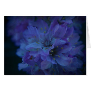 Blauer Schatz