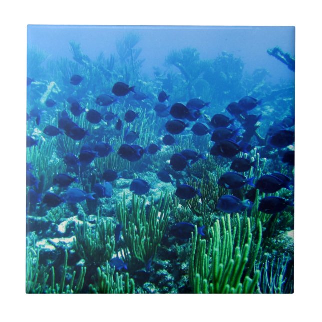 Blauer Schleier Fliese (Vorderseite)