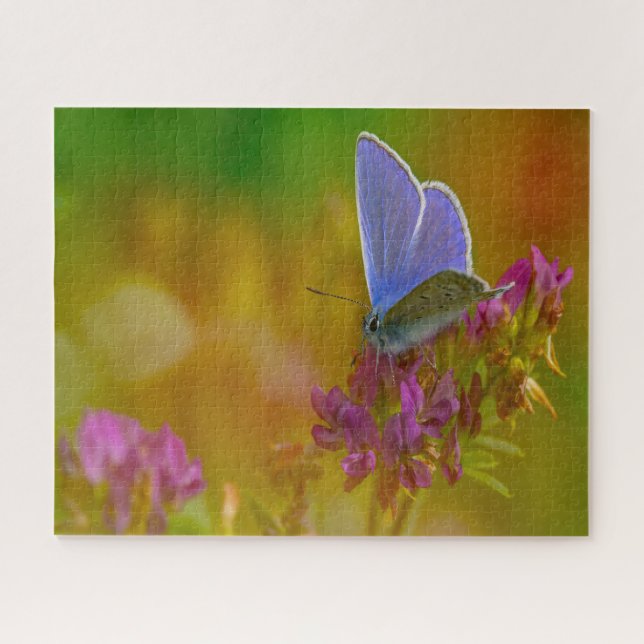 Blauer Schmetterling. (Horizontal)