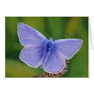 Blauer Schmetterling