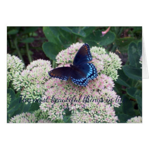 Blauer Schmetterling