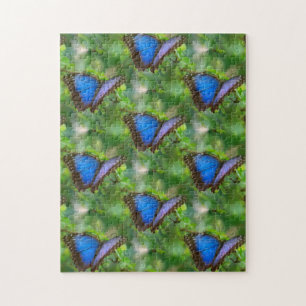 Blauer Schmetterling