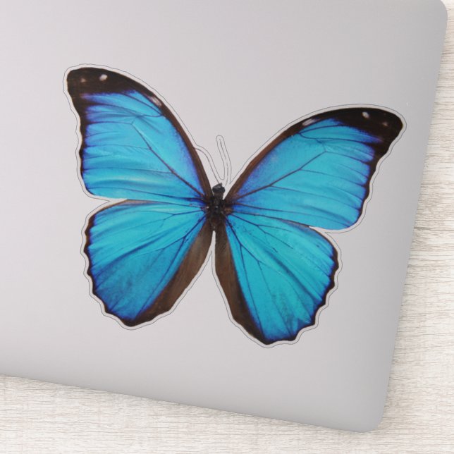 Blauer Schmetterling 1 Aufkleber (Detail)