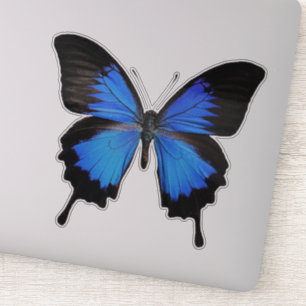 Blauer Schmetterling 3 Aufkleber
