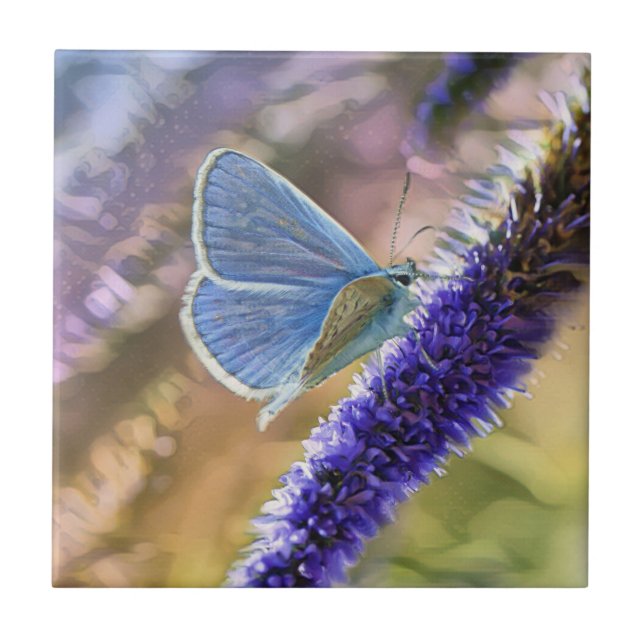 Blauer Schmetterling auf Lavendel Blume Fliese (Vorderseite)