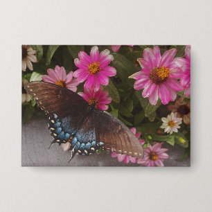 blauer Schmetterling Button