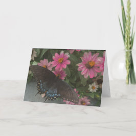 blauer Schmetterling Dankeskarte