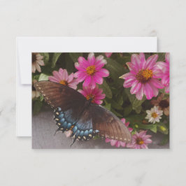 blauer Schmetterling Dankeskarte