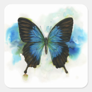 Blauer Schmetterling, egal, wo Geschichten liegen Quadratischer Aufkleber