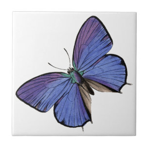 Blauer Schmetterling Fliese