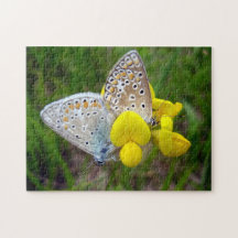 Blauer Schmetterling Foto Puzzle mit Geschenkboxen