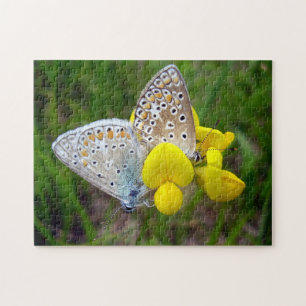 Blauer Schmetterling Foto Puzzle mit Geschenkboxen