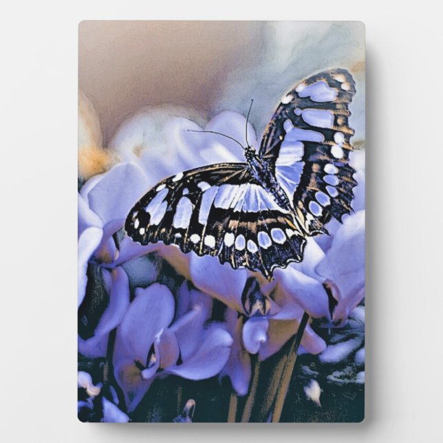 Blauer Schmetterling Fotoplatte (Vorderseite)