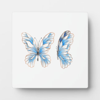Blauer Schmetterling Fotoplatte
