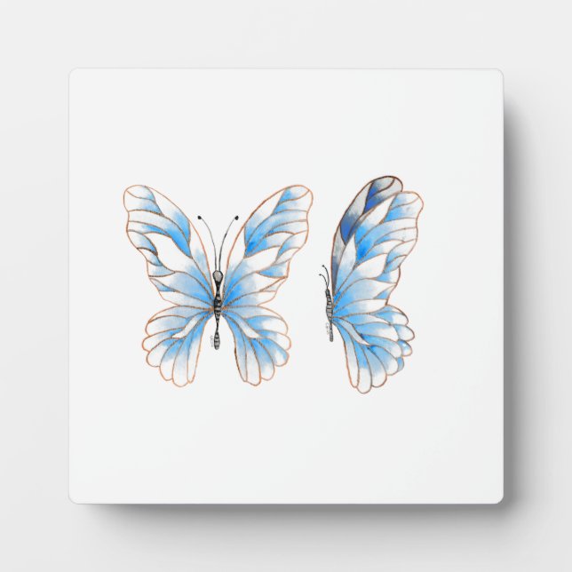 Blauer Schmetterling Fotoplatte (Vorderseite)