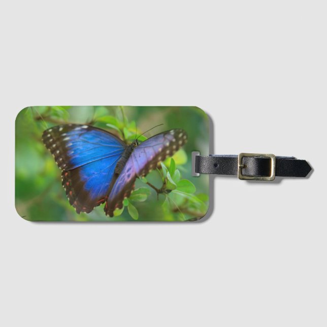 Blauer Schmetterling Gepäckanhänger (Vorderseite (Horizontal))