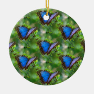 Blauer Schmetterling Keramik Ornament