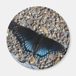 Blauer Schmetterling Magnet