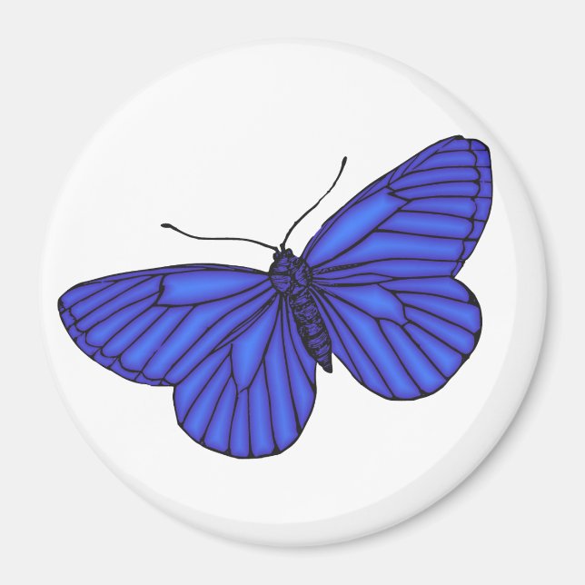 Blauer Schmetterling Magnet (Vorne)